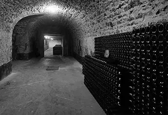 Cave du Champagne Paul Launois