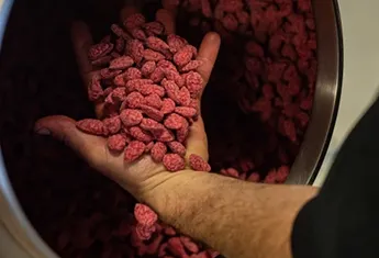 Pralines de chez Bruno Saladino