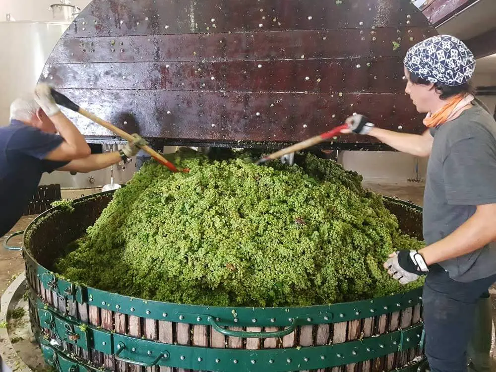 Pressoir vertical traditionnel en Champagne