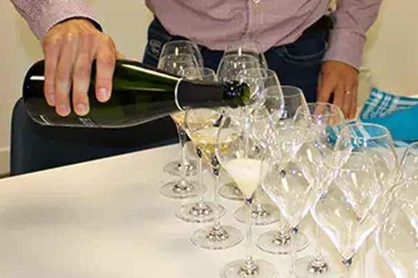 Dégustation de champagne en cave