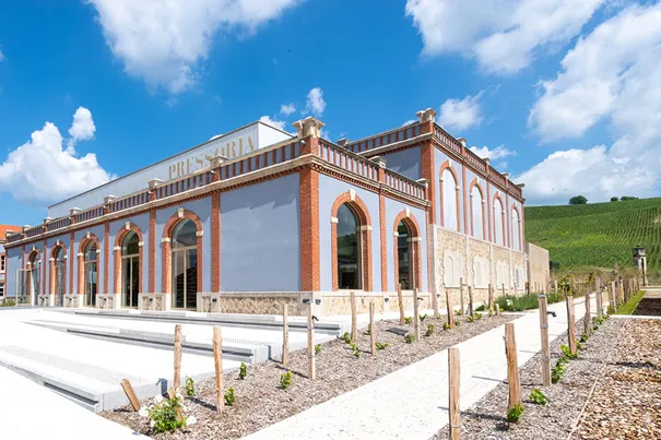 Expérience sensorielle à Epernay