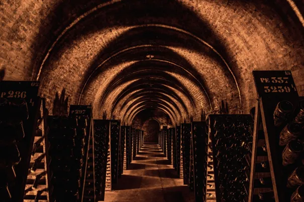 Visite de cave maison Ayala