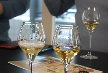 Verres à dégustation de champagne